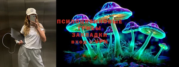 PSILOCYBIN Нязепетровск