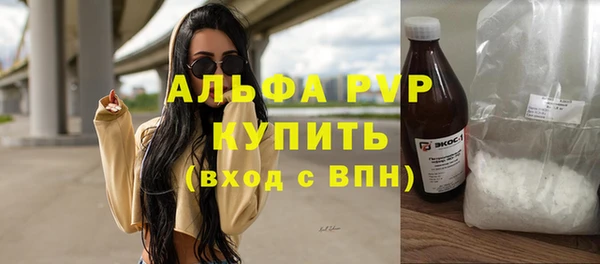 ПСИЛОЦИБИНОВЫЕ ГРИБЫ Няндома