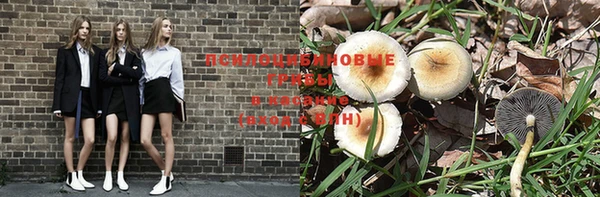 PSILOCYBIN Нязепетровск