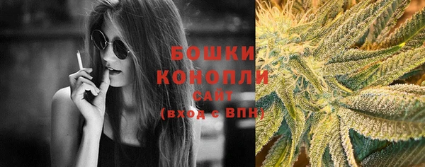 ПСИЛОЦИБИНОВЫЕ ГРИБЫ Няндома