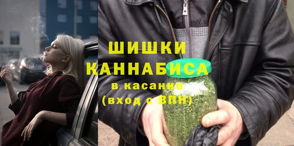 дмт Нягань