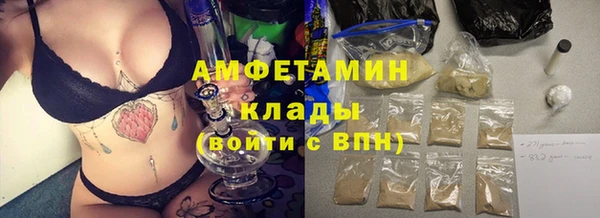 шишки Абаза