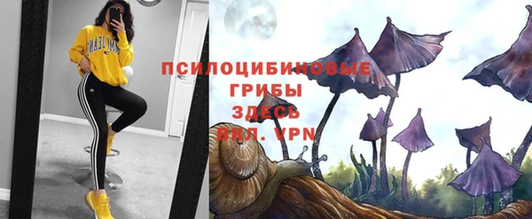 марки lsd Осинники